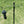 oad image into Gallery viewer, 【リニューアル】2WAY STAND 2.0