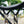 Load image into Gallery viewer, 360 CHAIR°