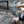 Load image into Gallery viewer, 5050PET ANML ANCHOR