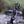 Load image into Gallery viewer, 5050PET ANML ANCHOR