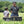 Load image into Gallery viewer, SOLID FOLDING CONTAINER 25/48
