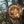 Load image into Gallery viewer, AXE THROWING