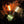oad image into Gallery viewer, GLOBE SERIES for MINIMALight
