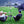 oad image into Gallery viewer, COMPACT FOLDING CHAIR