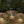 oad image into Gallery viewer, KASA SHADE RC2.0 for MINIMALight RC 2.0