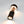 oad image into Gallery viewer, MINIMALight REMOTE CONTROL 2.0