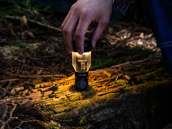 MINIMALight REMOTE CONTROL 2.0