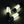 oad image into Gallery viewer, 【リニューアル】MINIMALight 2.0