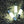 oad image into Gallery viewer, 【リニューアル】MINIMALight 2.0