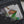 Load image into Gallery viewer, ORGANIZER CASE M