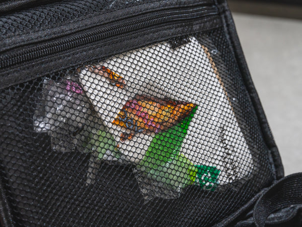 ORGANIZER CASE M