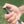 oad image into Gallery viewer, SPICE MILL