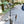 oad image into Gallery viewer, STAND HOOK SET