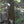 oad image into Gallery viewer, STAND HOOK SET