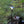 oad image into Gallery viewer, STAND HOOK SET