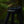 oad image into Gallery viewer, THE ANDON × TRIPOD HANGER