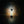 Load image into Gallery viewer, MICRO Light