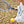 oad image into Gallery viewer, BIG RACKET SET
