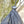 oad image into Gallery viewer, BIG RACKET SET
